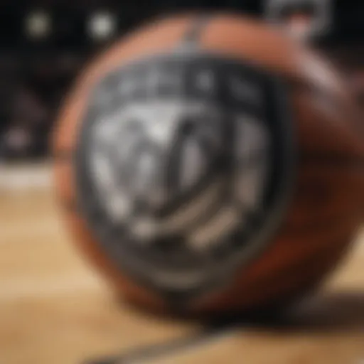 Brooklyn Nets logo with a basketball background