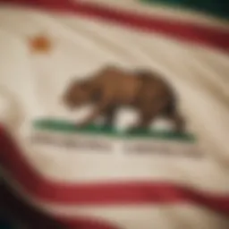 California state flag representing the jurisdiction