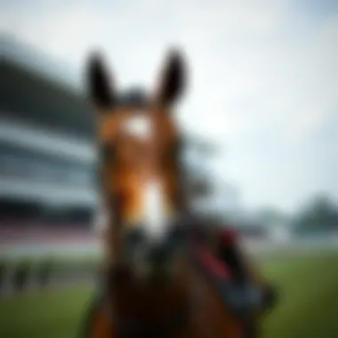 Notable Mastering the Craft: A Comprehensive Guide to Becoming a Horse Jockey