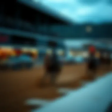 Economic impacts of horse racing on the local community