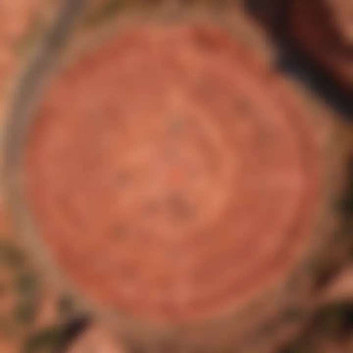 Aerial view of a red rock landscape with betting symbols